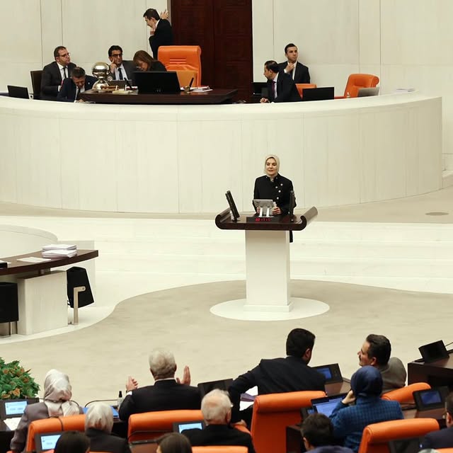Türkiye'de Kadına Yönelik Şiddetle Mücadele Devam Ediyor