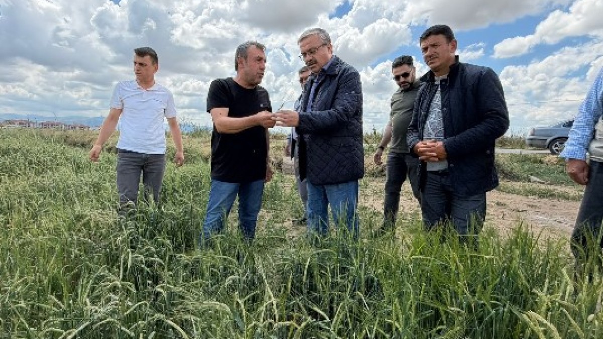 Millet vekili Yurdunuseven Dolu Afetinden Etkilenen Bölgelerde İncelemelerde Bulundu