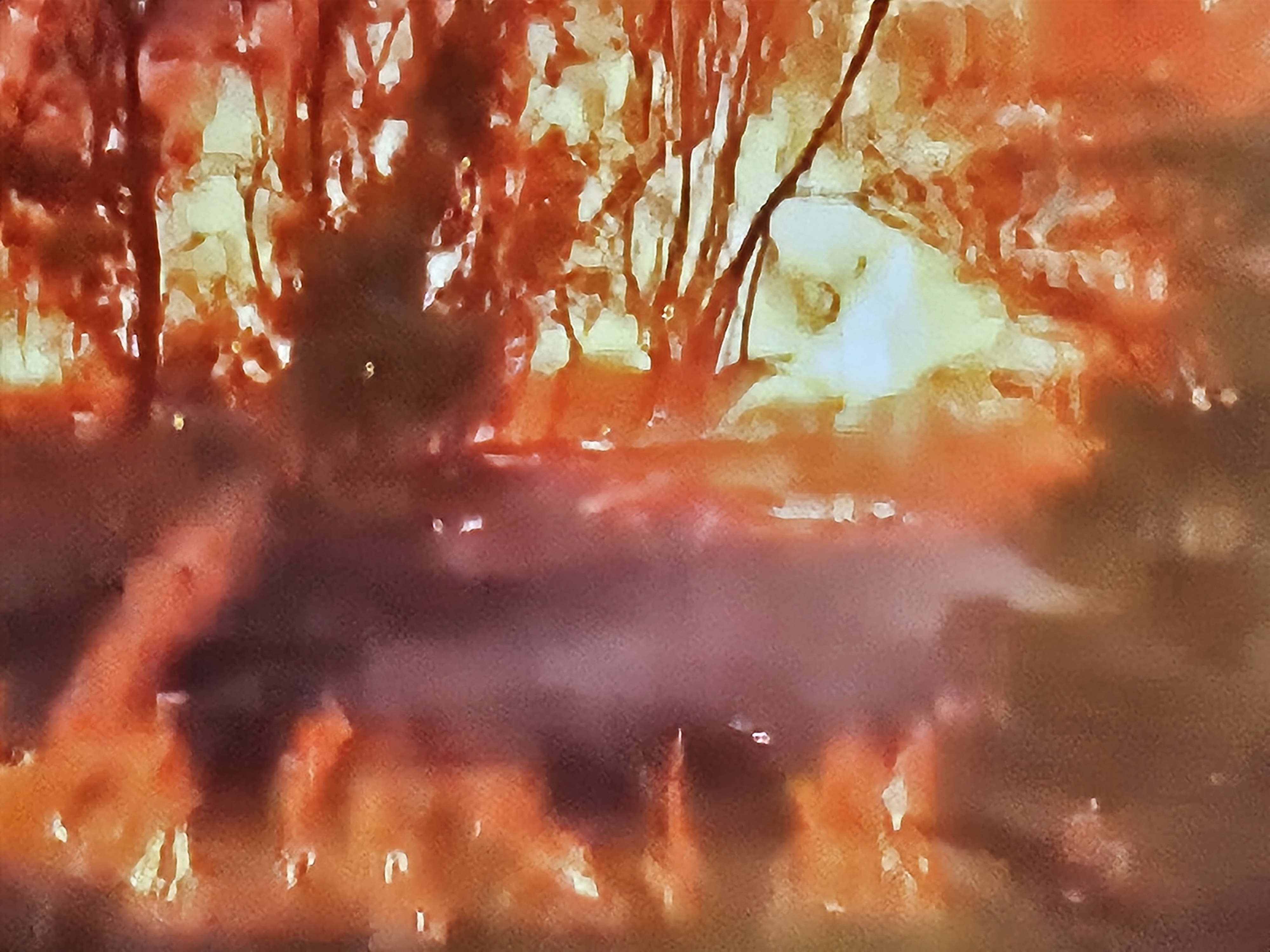 Seyitgazi’de Başlayan Yangın Faciası:nda 5 Akut Gönüllüsü 5 Kahraman orman Çalışanı  Şehit Oldu