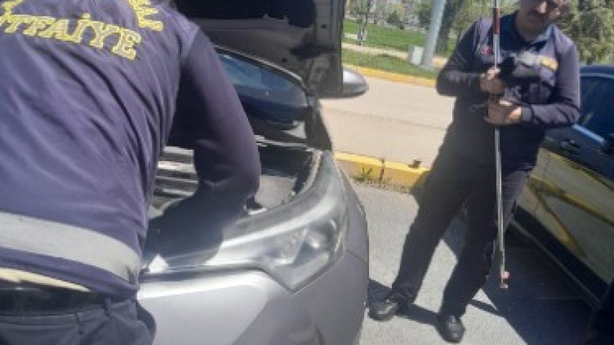 Afyon Kocatepe Üniversitesi Kampüsünde Kaputta Mahsur Kalan 2 Yavru Kedi Kurtarıldı