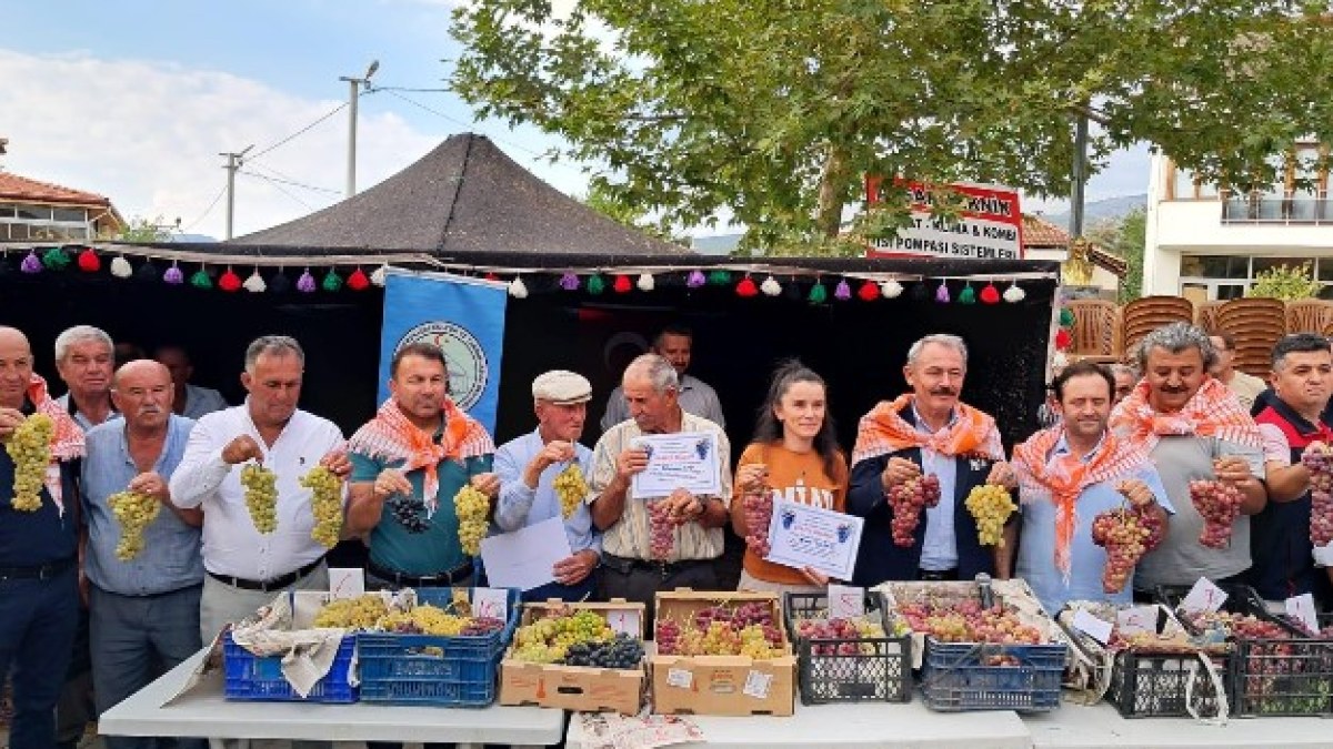 AVŞAR ÜZÜMÜ TESCİLLENDİ. Acıpayam Avşar Üzümü Tesciliyle Ata Mirası Taçlandı