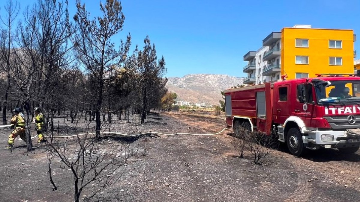 Mersin'deki Orman Yangınında Akkuyu NGS İtfaiyesi Seferber Oldu