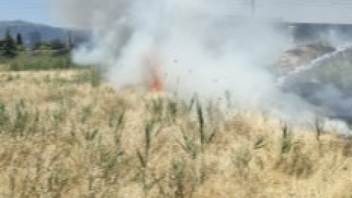 AFYONKARAHİSAR OTOGAR ARKASINDA OT YANGINI MEYDANA GELDİ