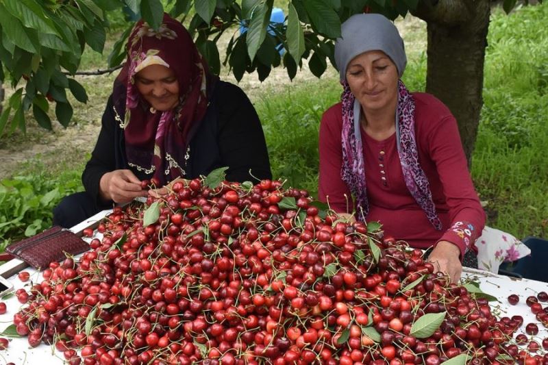 Kiraz Alım Merkezi için ilk adım atıldı 