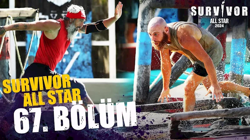 Survivor All Star