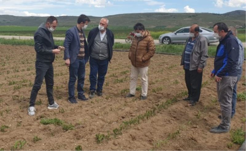 Sezen; Çiftçilerimiz Müsterih Olsun, Hükümetimiz Yanlarindadir